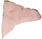 белок для мышц